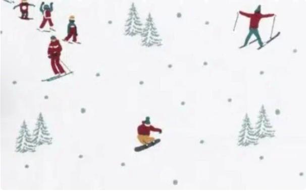Sophie Allport Skiing Cushion Cover , Ski Snow Cushion Cover , Christmas Cushion Cover , Scatter Cushions , Cushion Cover UK