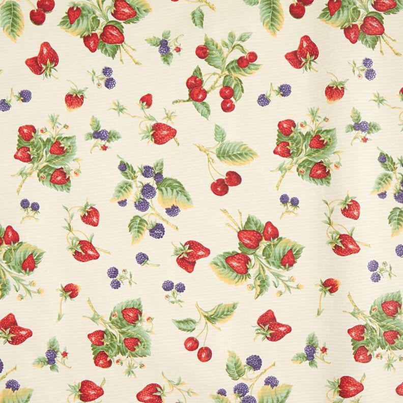 Strawberry Coated Tablecloth , Water Resistant Tablecloth , Teflon Coated Tablecloth , Round Oval Rectangle Tablecloth